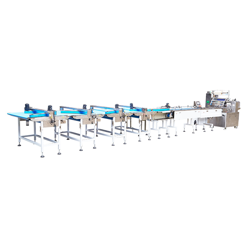 SN-II Direct Fraction Material Handling Automatic Material Sorting Packaging Machine