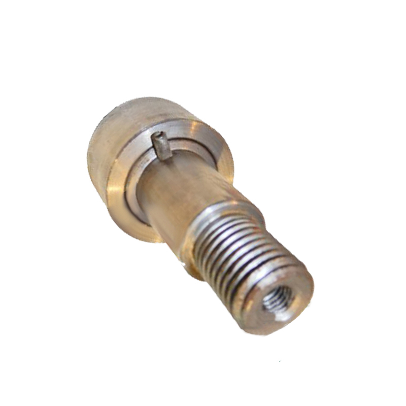 Agricultural Machinery Spare Parts 1109.25.01.10 Screw Pin for Baler AP61, AP63, AP71