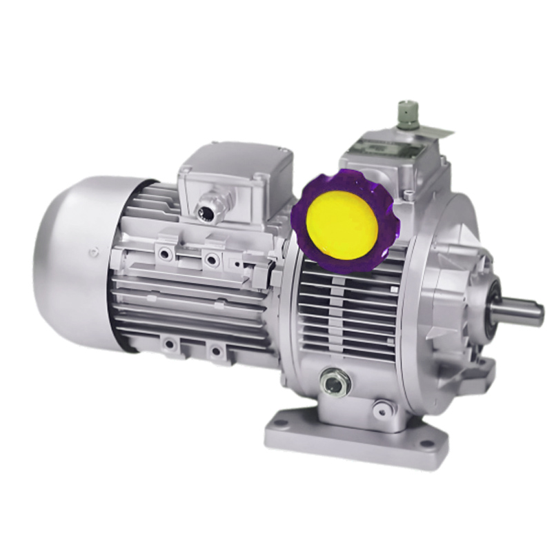 UD Series Mechanical Stepless Transmission Machine RW Worm Gear Unit