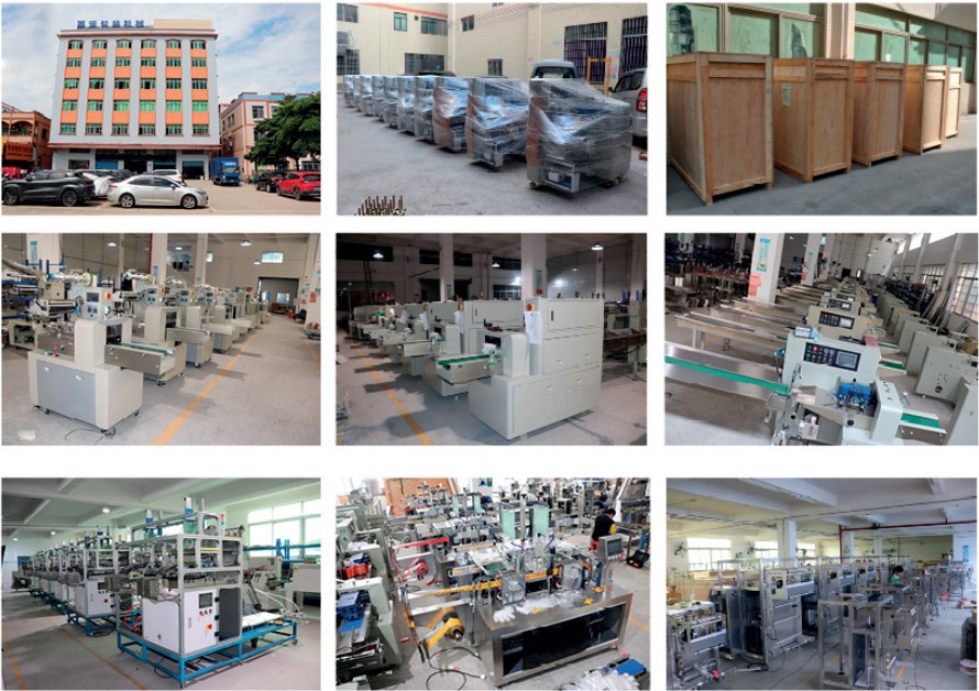 SN-120L Vertical Box Packaging Machine Automatic Cartoning Machine