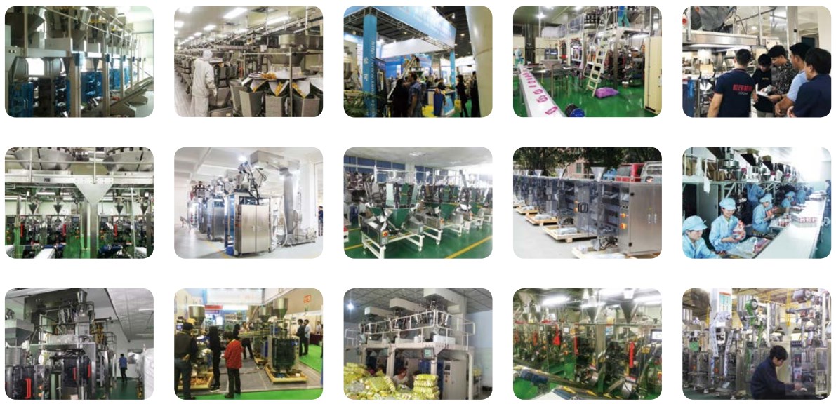 Reciprocating Type Dowder Strip Round Corner Bag Packing Machine