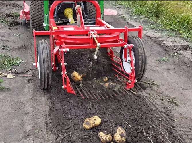 Sweet Potato Harvester for Sale
