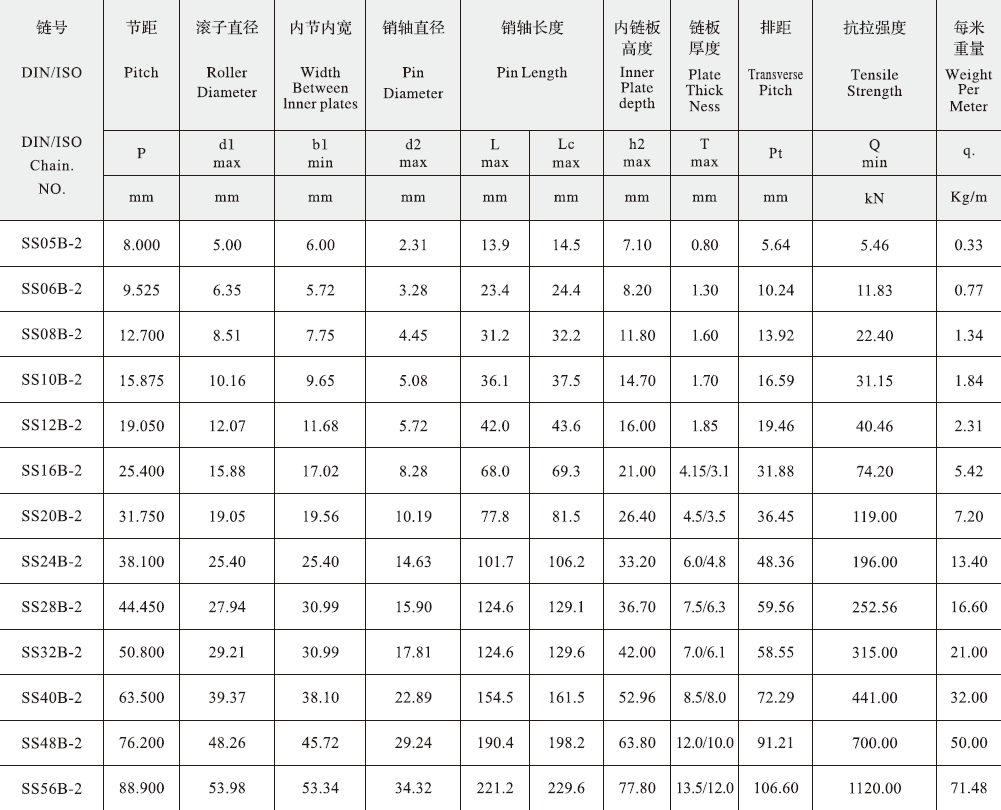 SS06B-2 B Series Stainless Steel Short Pitch Precision Duplex Roller Chain and Sprockets in Steel