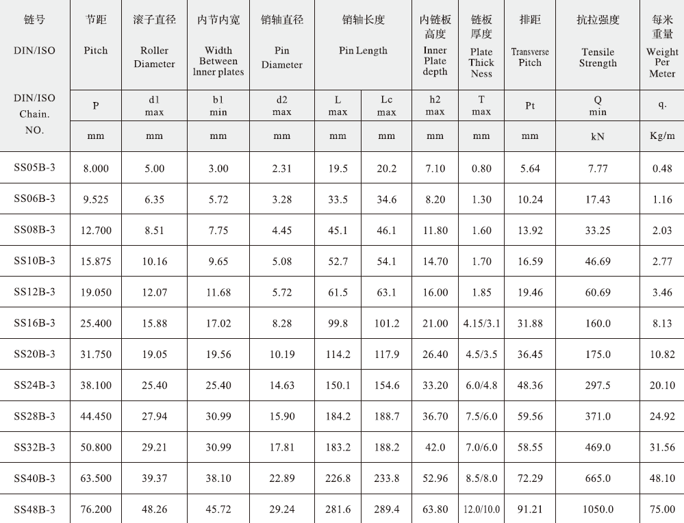 SS06B-3 B Series Stainless Steel Short Pitch Precision Triplex Roller Chain and Sprockets in Steel