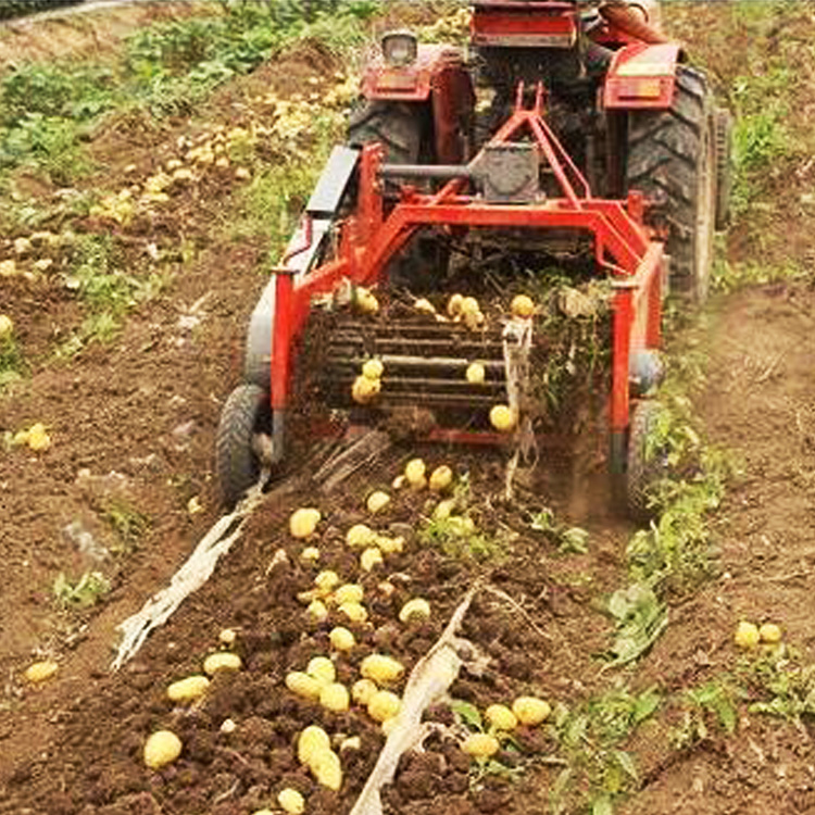 Sweet Potato Harvester for Sale