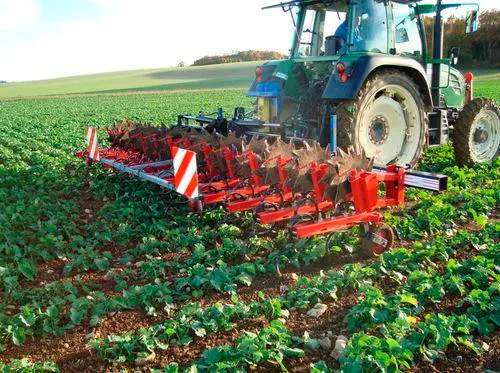 What Is a Spring Tooth Harrow