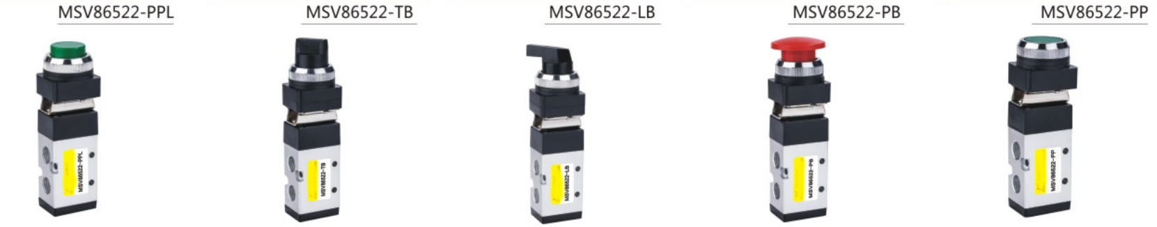 Economical Custom Design MSV86522-PPL Mechanical Valve for Sale