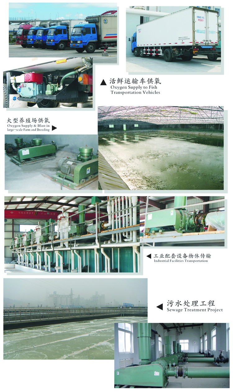 Suitable Price Farming Water Aquaculture Roots Oxygen Blower air Pump