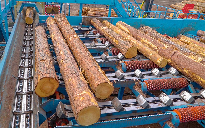 81XHH Stainless Steel Lumber Conveyor Chain and Sprockets with 66.27mm Pitch