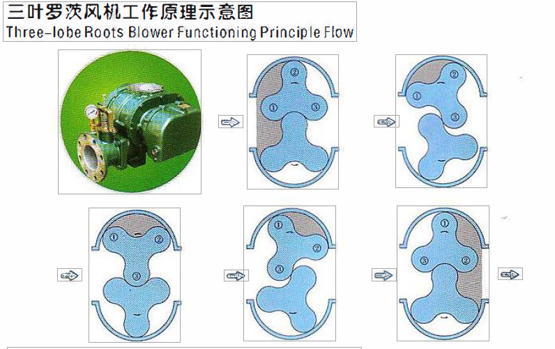 Zls Series Fish Farm Waster Water Sewage Treatment Industrial Vertical Volumerteic air Three Lobe Breeding Roots Blower