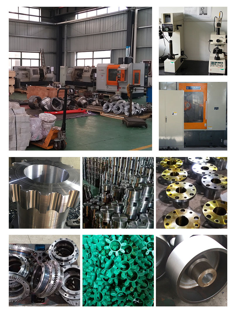 Mt-4 Mt-5 Mt-6 Rubber Coupling Elements Spider Jaw Coupling for GENERAL MACHINERY