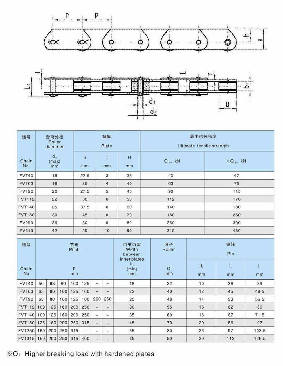 Factory FVT40 FVT63 FVT90 FVT112 FVT140 FVT180 FVT250 FVT315 FVT Series Conveyor Steel Chains