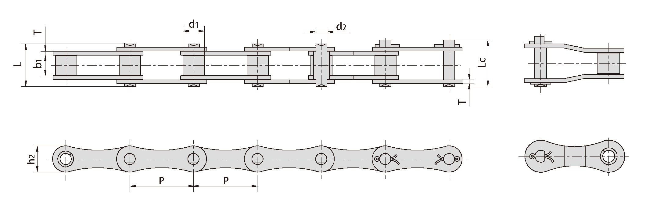 Factory S Type 55VF1H2 CA650F1 Steel Agricultural Conveyor Roller Chains