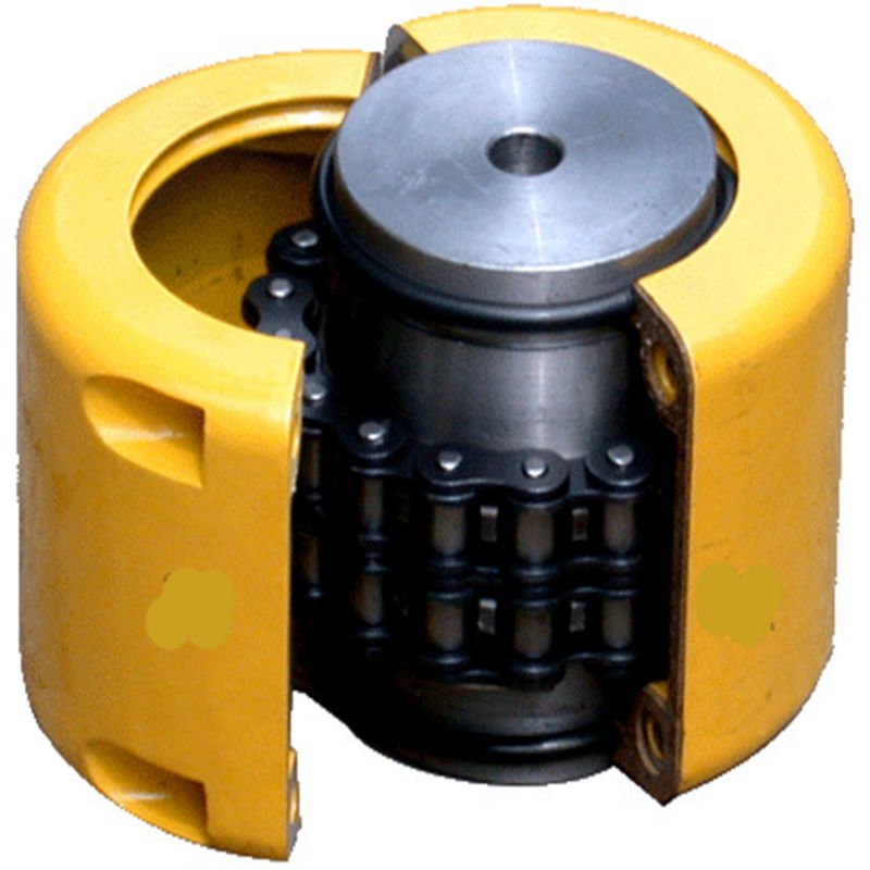 Chain and Sprocket Coupling