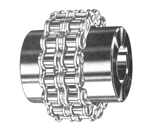 Chain and Sprocket Coupling