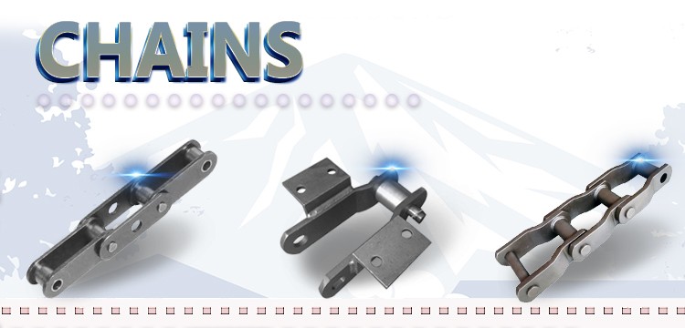 Film Aripper Chains Standard Same AsTsubaki Japan Regina Italy Standard Stainless Steel Roller Chain with Attachment