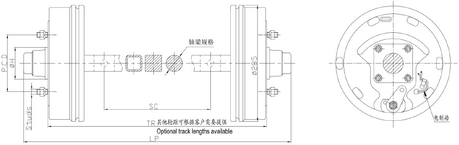 FANGD2F6 FANGD1.5F5 FANGD1F6 FANGD0.5F5 Trailer Axle Straight axle with electric brake
