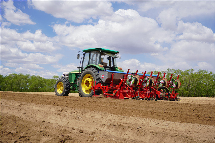 Supper Quality Chisel Plow Tractor Supply