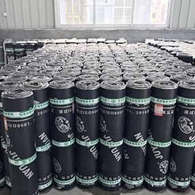 Waste Gas VOCs Exhaust Gas Treatment RTO Regenerative Thermal Oxidizer for Film Coating SBS Industry Environmental Protection