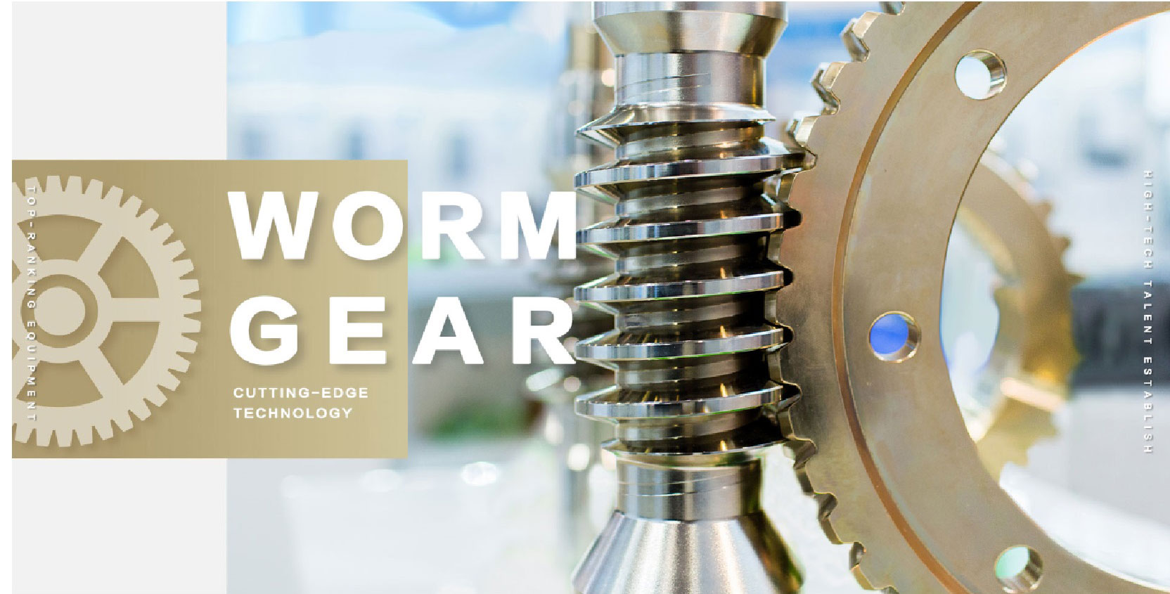 Metric Self Locking Globoid Steel Brass Pinion Slew Drive Wheel Steering Set Elevator Hobbing Machine CNC Screw Shaft  Worm Gear