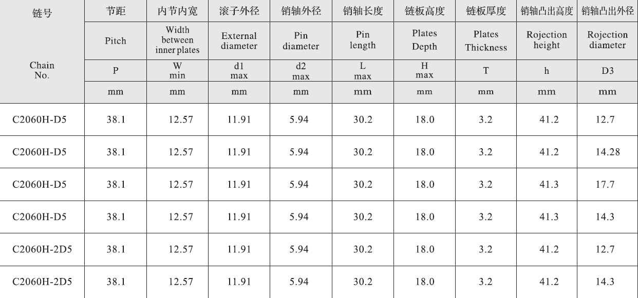 C2060H-D5 Stainless Steel Double Pitch Extended Pin Conveyor Chain and Sprockets in Steel