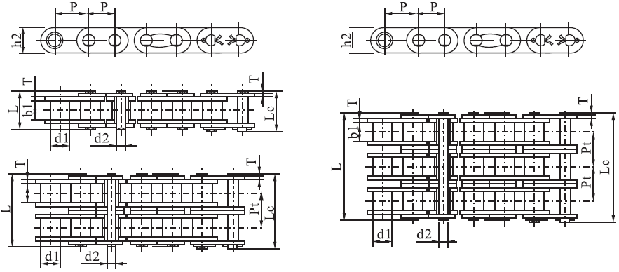 SSC20B-3 B Series Stainless Steel Short Pitch Precision Roller Chain with Straight Plate and Sprockets in Steel